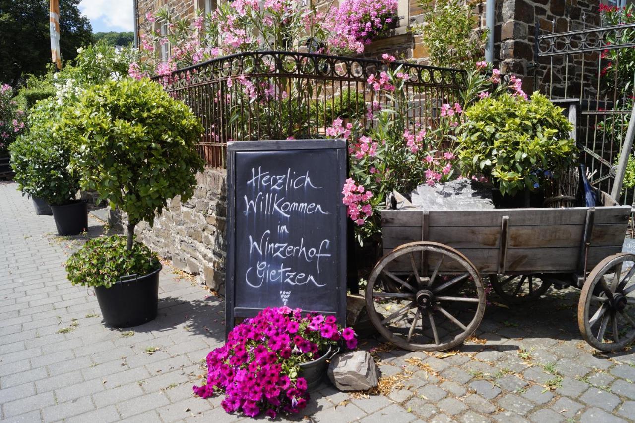 מלון Hatzenport Winzerhof Gietzen מראה חיצוני תמונה