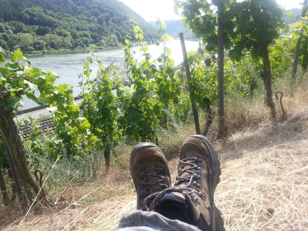 מלון Hatzenport Winzerhof Gietzen מראה חיצוני תמונה