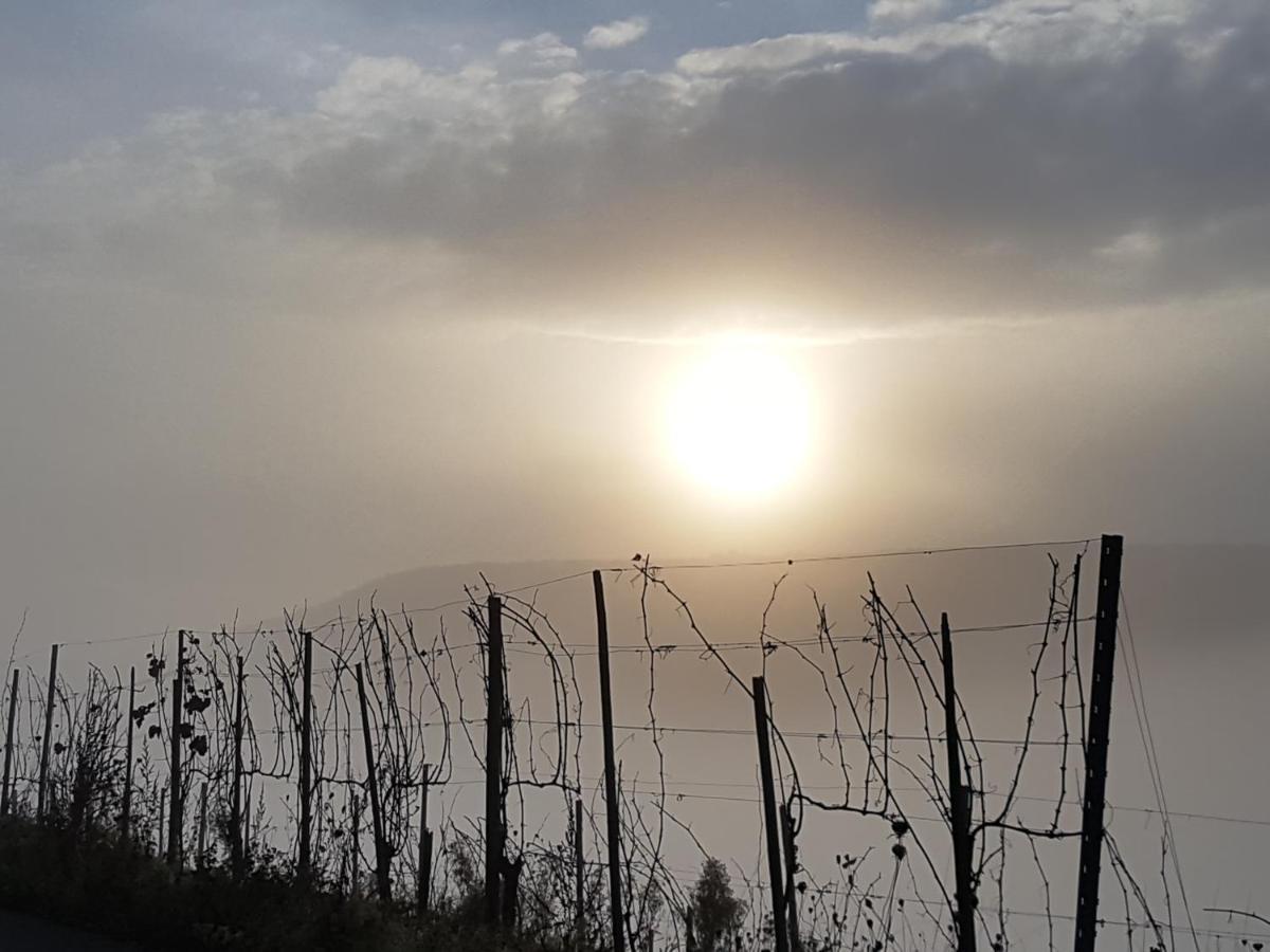 מלון Hatzenport Winzerhof Gietzen מראה חיצוני תמונה